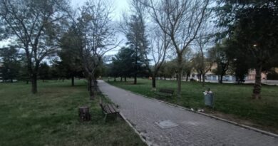parco merloni
