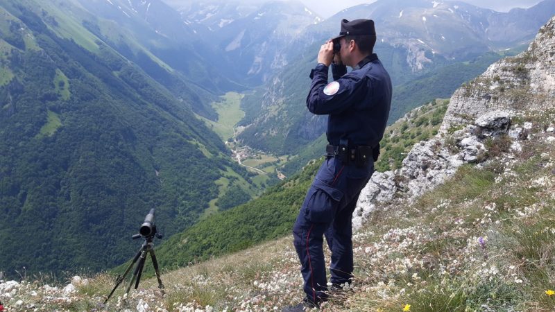 forestali antincendio