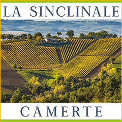 La Sinclinale Camerte