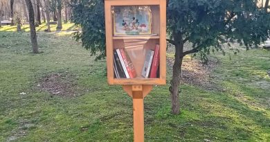casetta dei libri